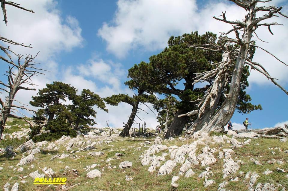 Cerchiara di Calabria Agriturismo Acamporaヴィラ エクステリア 写真