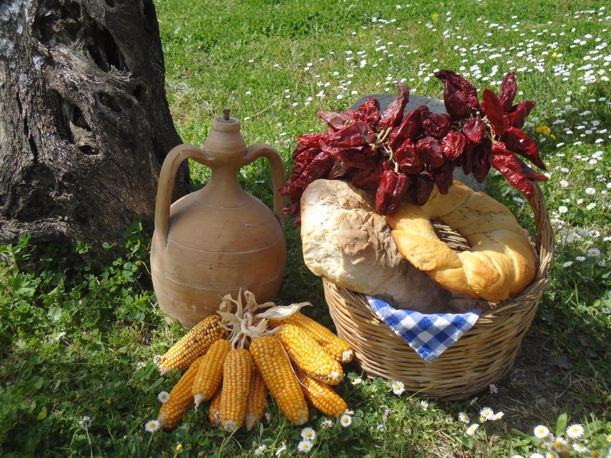 Cerchiara di Calabria Agriturismo Acamporaヴィラ エクステリア 写真
